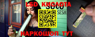 стафф Камышлов