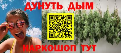 стафф Камышлов
