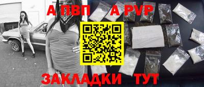 твердый Кингисепп