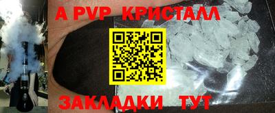 стафф Камышлов