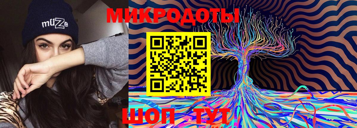 Лесозаводск  Псилоцибиновые грибы прущие грибы  Вход с VPN 