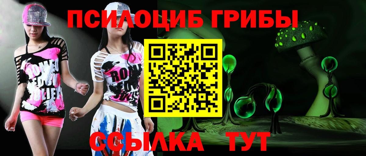 Галлюциногенные грибы Psilocybe Лесозаводск